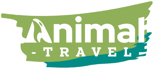 Animal Travel